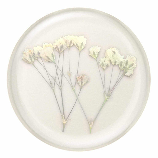 806775 PopGrip Pressed Flower Baby's Breath