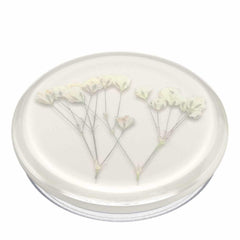 806775 PopGrip Pressed Flower Baby's Breath