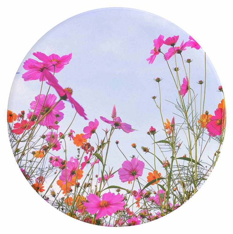 806596 PopGrip Fuchsia Bloom