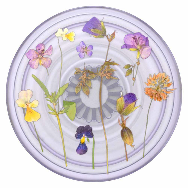 806198 PopGrip PlantCore Plant Purple Fields