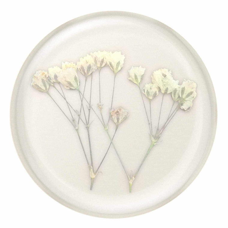 806775 PopGrip Pressed Flower Baby's Breath
