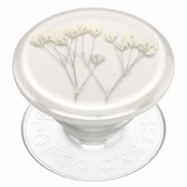 806775 PopGrip Pressed Flower Baby's Breath